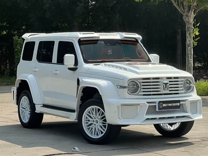 Фото 3 - Tank 300