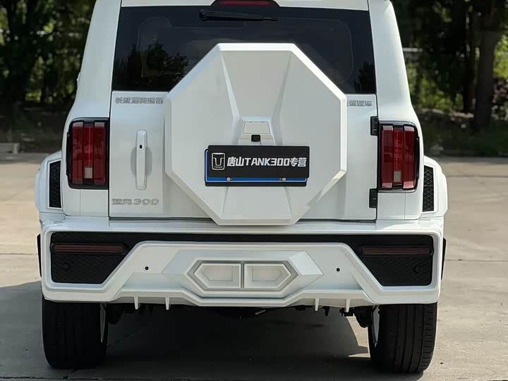 Фото 7 - Tank 300