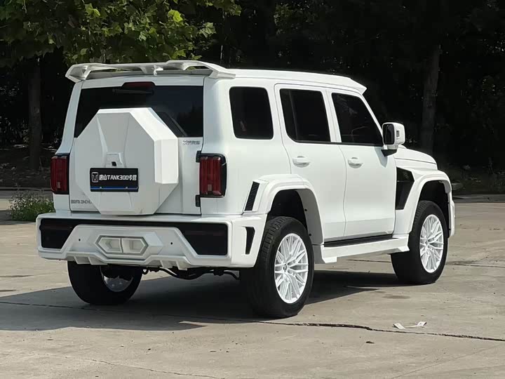 Фото 8 - Tank 300