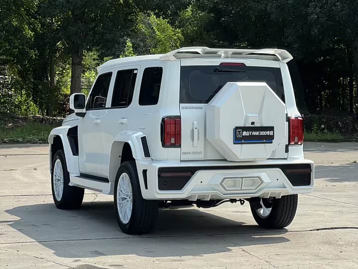 Фото 9 - Tank 300