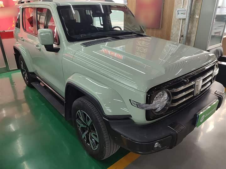 Фото 4 - Tank 300