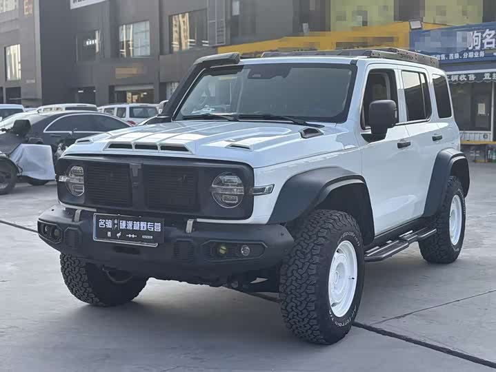 Фото 2 - Tank 300