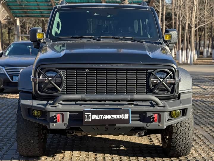 Фото 1 - Tank 300