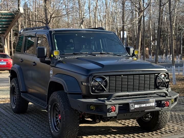 Фото 2 - Tank 300