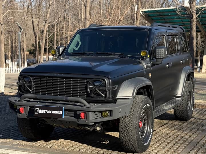 Фото 3 - Tank 300