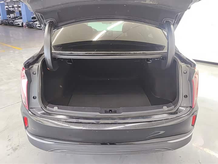 Фото 4 - Hongqi E-QM5