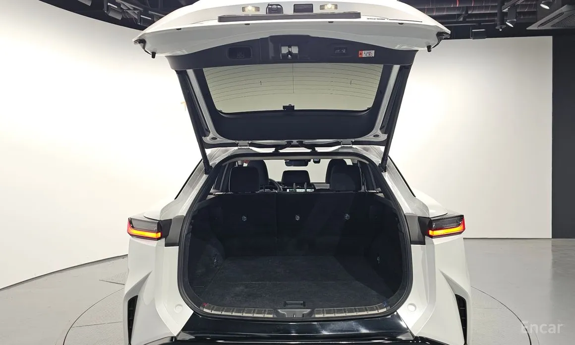 Фото 20 - Lexus RZ