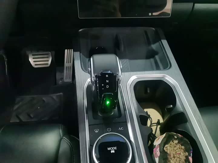 Фото 14 - Chery Jaecoo J7 (Explore 06)