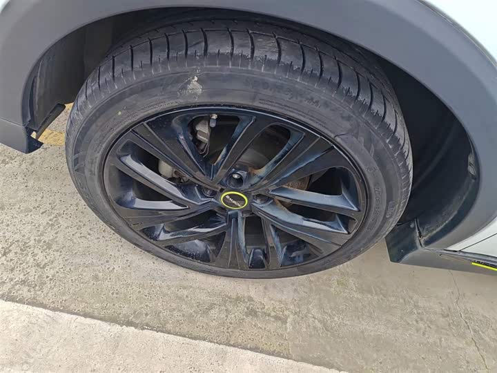 Фото 23 - Roewe RX5