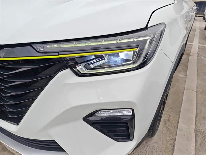 Фото 24 - Roewe RX5