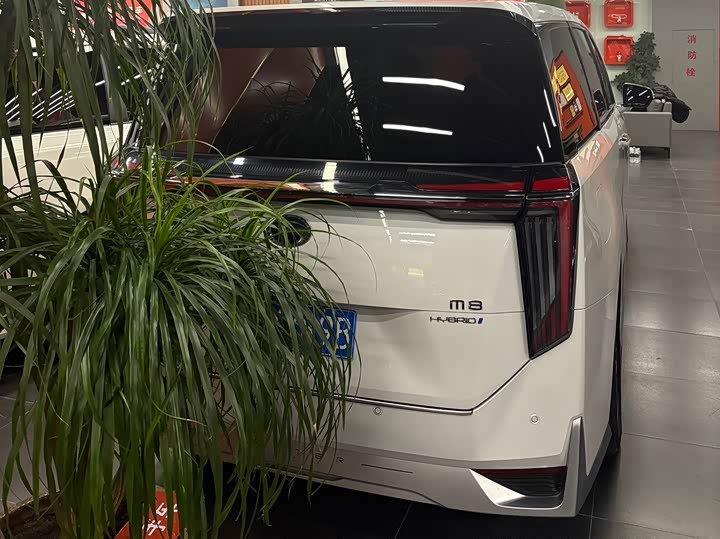 Фото 4 - GAC Trumpchi M8