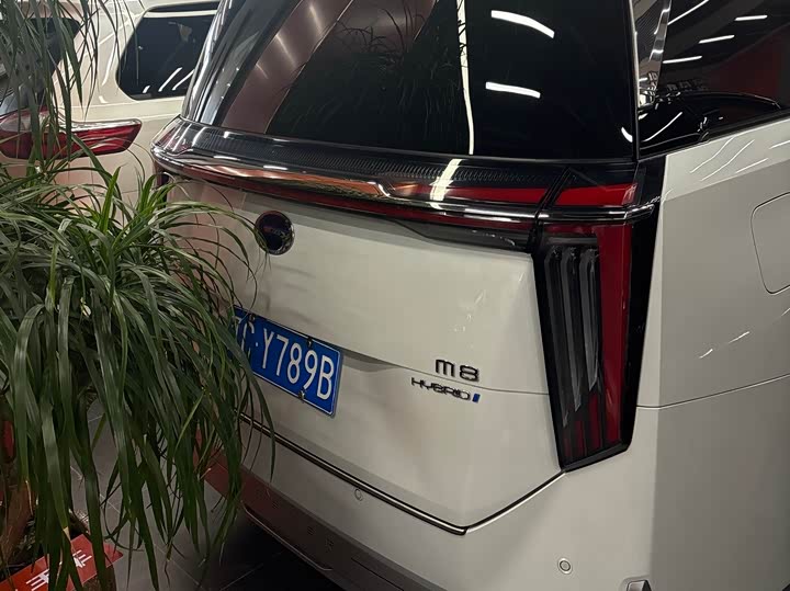 Фото 6 - GAC Trumpchi M8