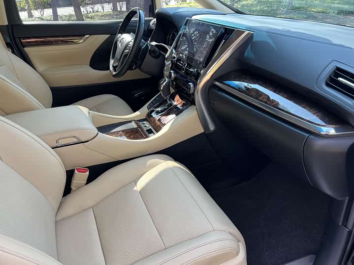 Фото 10 - Toyota Alphard