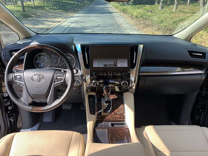 Фото 14 - Toyota Alphard
