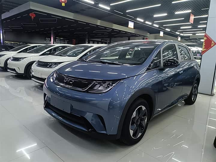 Фото 2 - BYD Dolphin