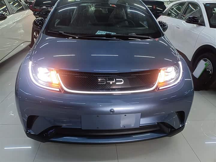 Фото 3 - BYD Dolphin