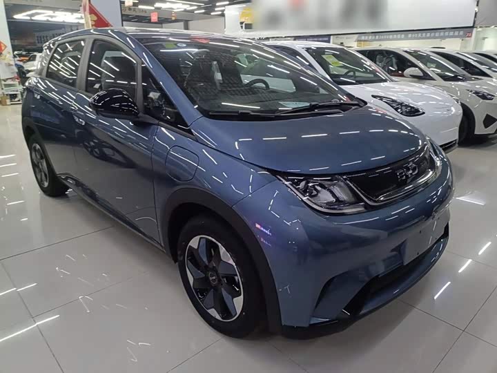 Фото 4 - BYD Dolphin