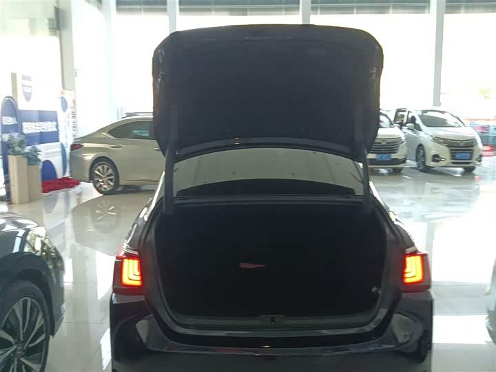 Фото 19 - Lexus ES