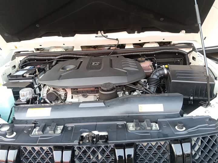 Фото 19 - BAIC Beijing BJ40