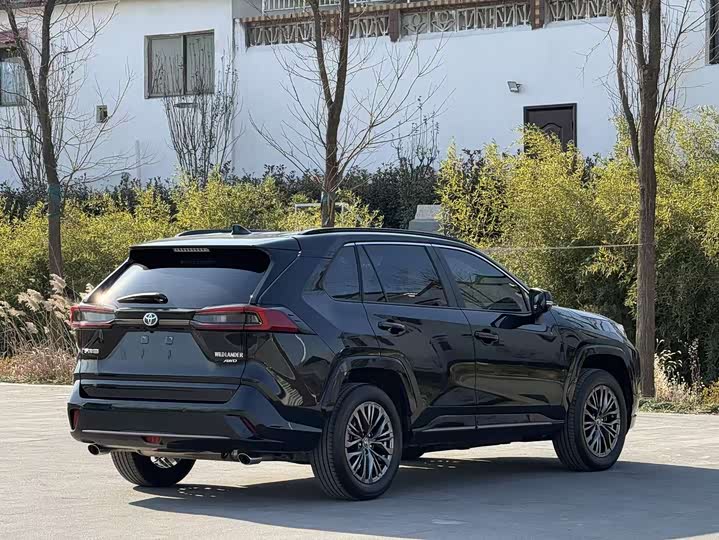Фото 4 - Toyota Wildlander