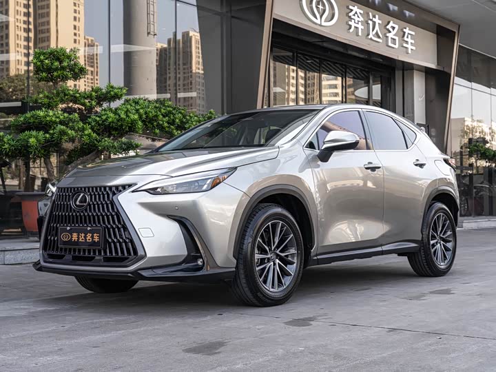 Фото 1 - Lexus NX