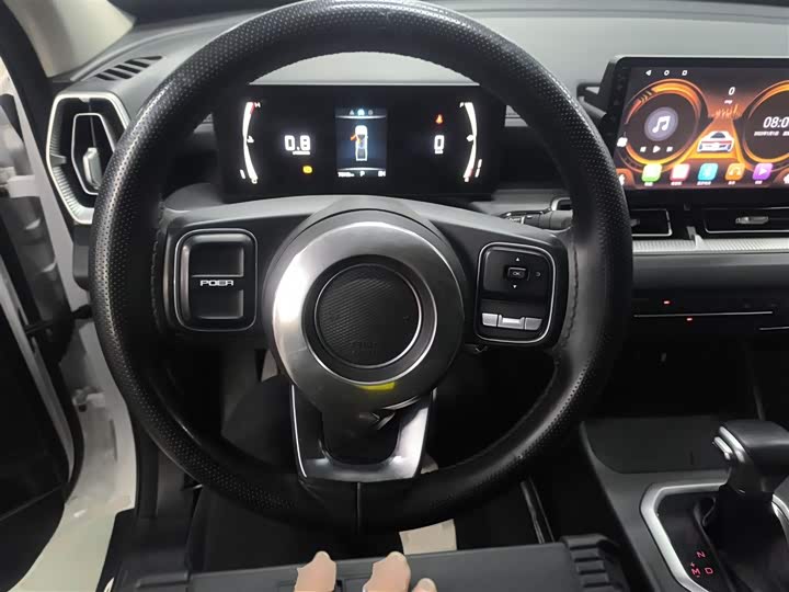 Фото 11 - Great Wall King Kong Poer