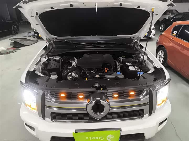 Фото 20 - Great Wall King Kong Poer