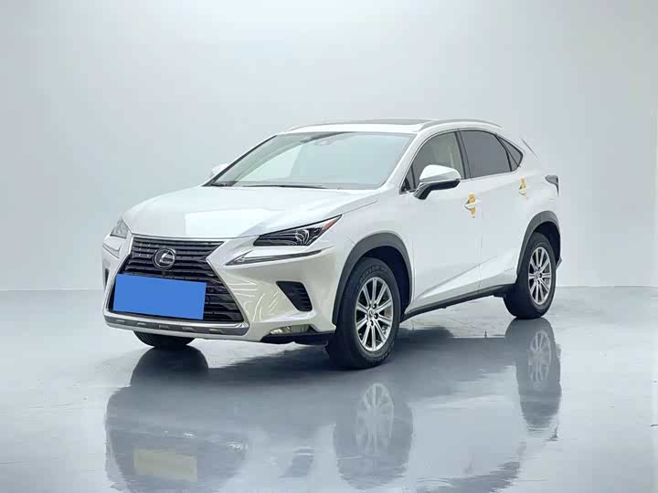 Фото 1 - Lexus NX