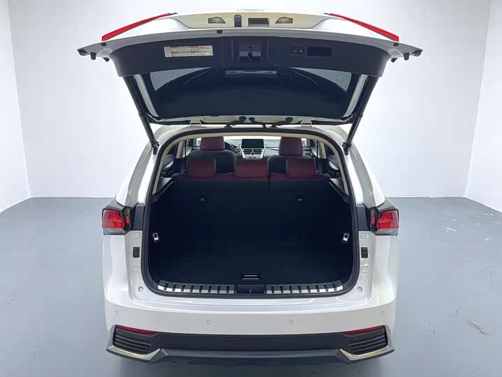 Фото 15 - Lexus NX