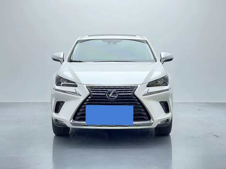 Фото 2 - Lexus NX