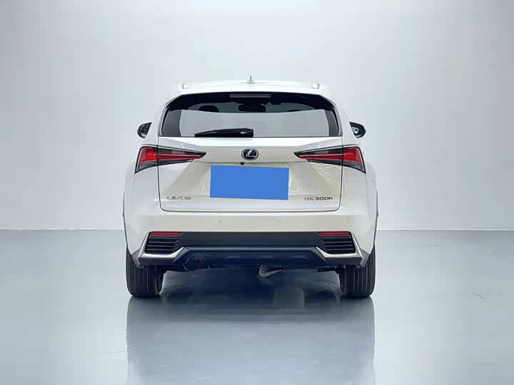 Фото 5 - Lexus NX