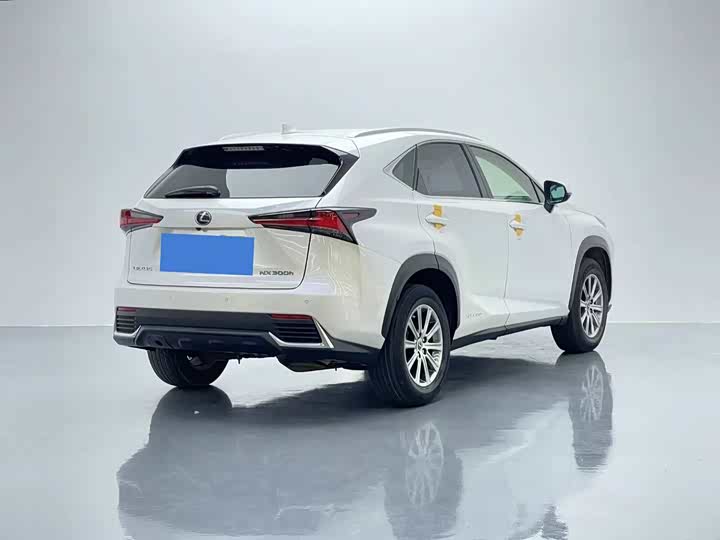 Фото 6 - Lexus NX
