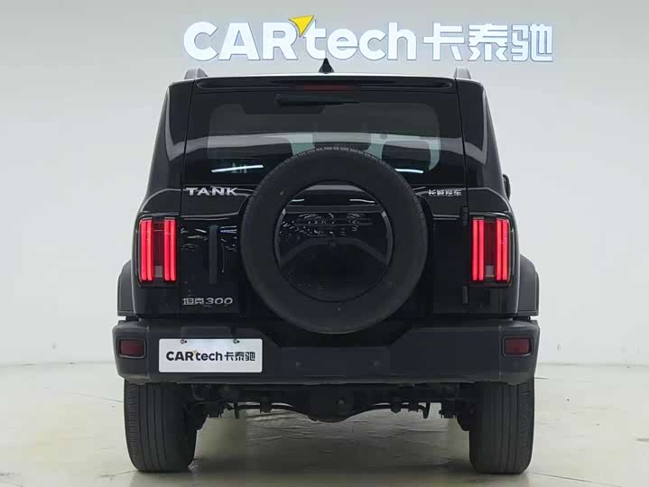 Фото 13 - Tank 300