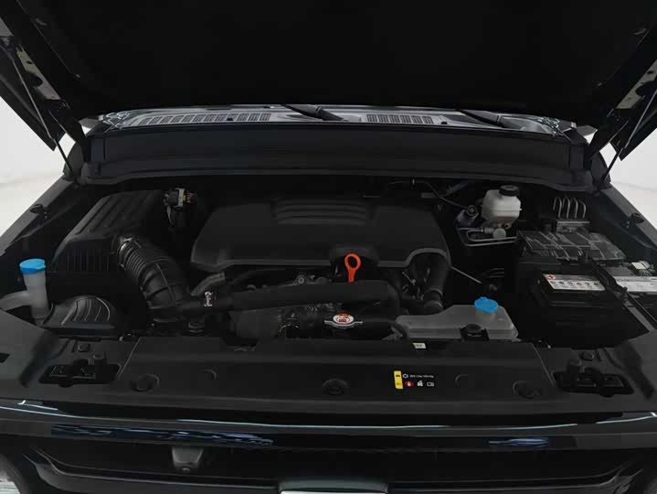 Фото 4 - Tank 300