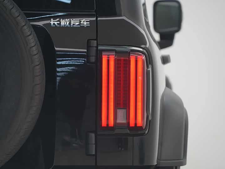 Фото 5 - Tank 300