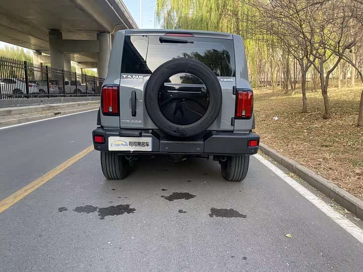 Фото 6 - Tank 300