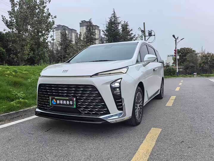 Фото 1 - Buick GL8 Hybrid