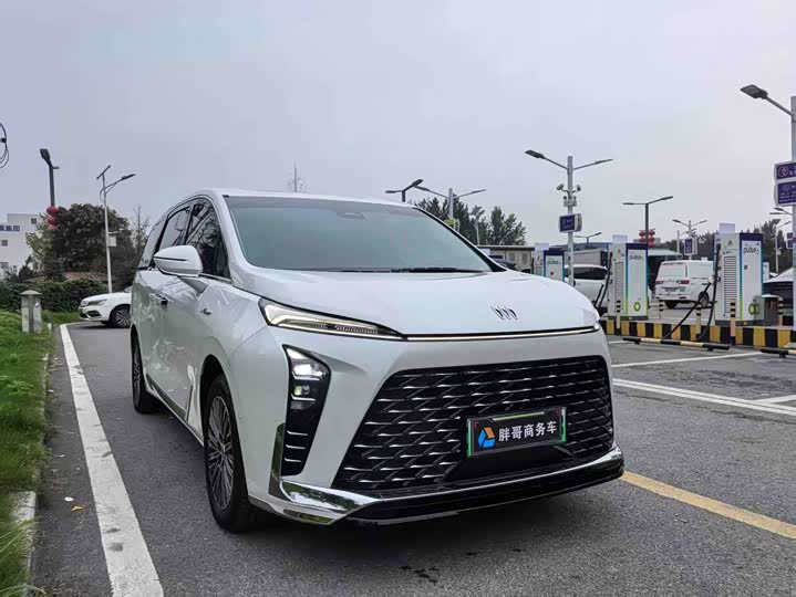 Фото 3 - Buick GL8 Hybrid