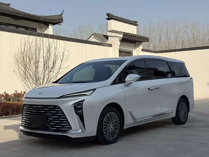 Фото 3 - Buick GL8 ES