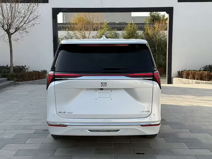 Фото 4 - Buick GL8 ES