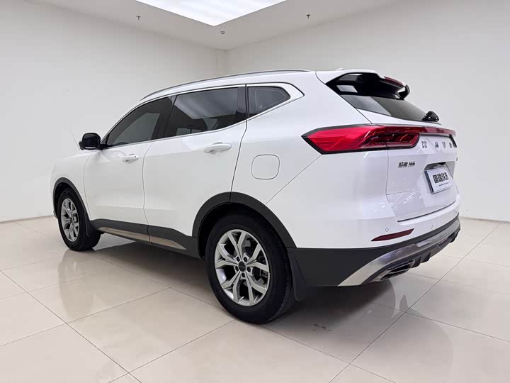 Фото 4 - Haval H6