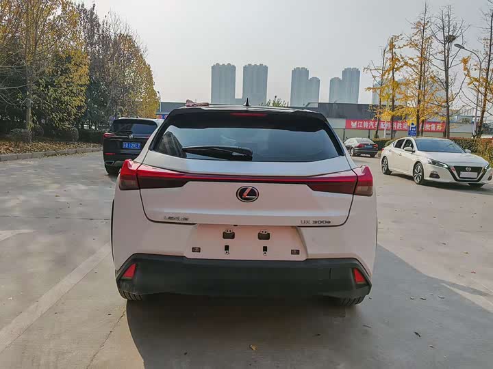 Фото 5 - Lexus UX Hybrid