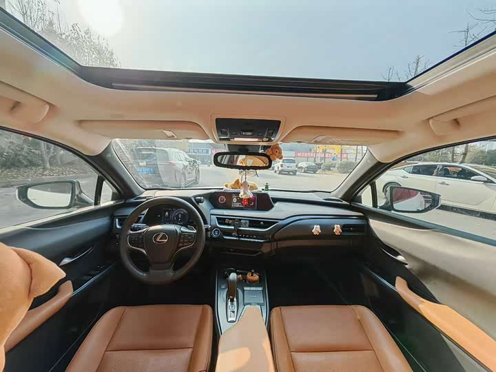 Фото 7 - Lexus UX Hybrid