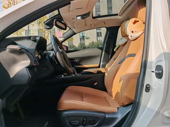 Фото 8 - Lexus UX Hybrid