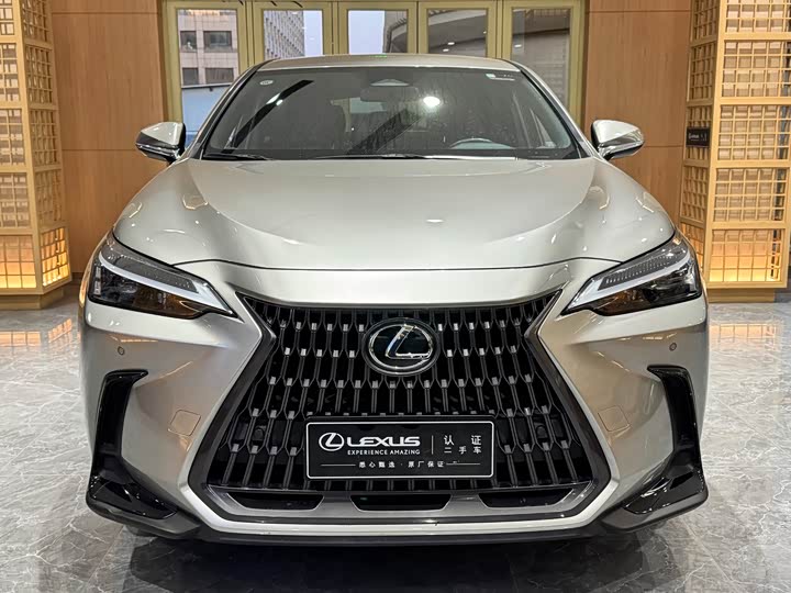 Фото 2 - Lexus NX