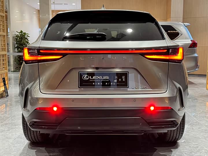 Фото 5 - Lexus NX