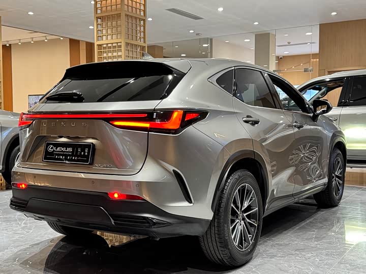 Фото 6 - Lexus NX