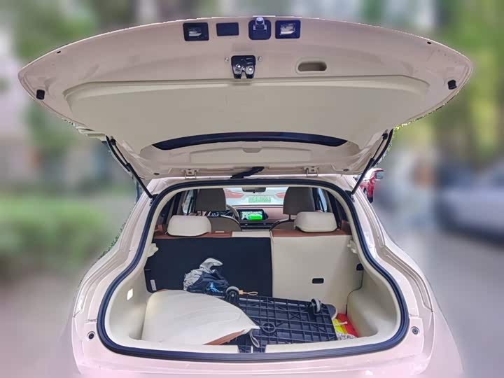 Фото 10 - Ora Good Cat (03)