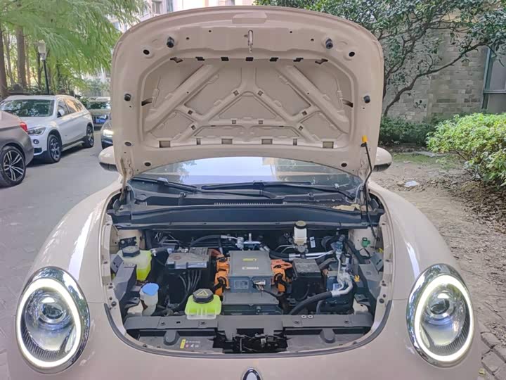 Фото 11 - Ora Good Cat (03)