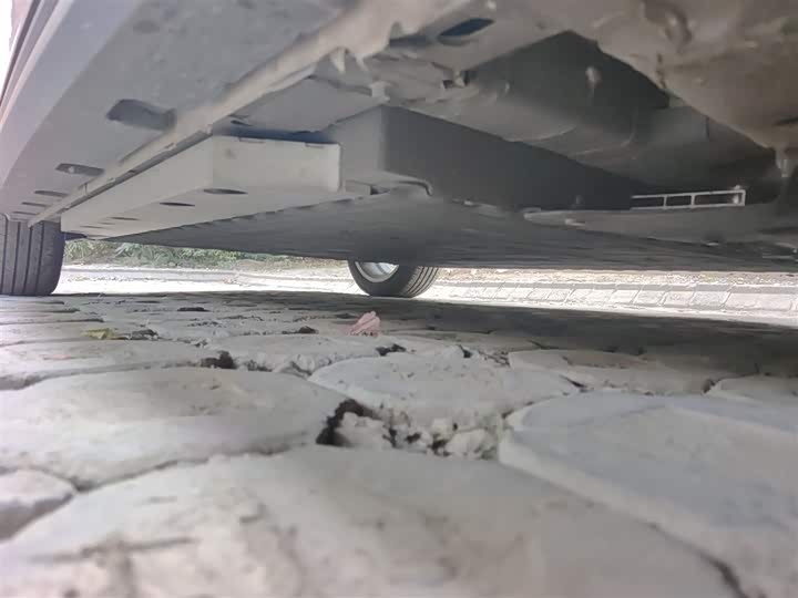 Фото 16 - Ora Good Cat (03)